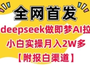 用deepseek做即梦Ai拉新 小白实操月入过W+【附报白渠道】