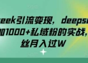 deepseek引流变现，deepseek被动日加1000+私域粉的实战，0粉丝月入过W