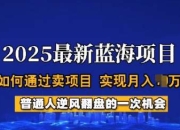 2025蓝海项目，普通人如何通过卖项目，实现月入过W，全过程【揭秘】