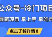 公众号冷门赛道，早上手早吃肉，单月轻松稳定变现1W【揭秘】