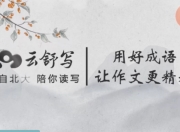 云舒写小学高分作文必会成语