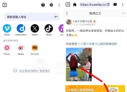 视频下载器v2.3.8，P站、X站等网页视频一键下载