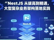 NestJS 从拔高到精通，大型复杂业务架构落地实践