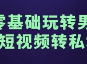 零基础玩转男粉短视频转私域