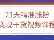21天精准涨粉变现干货视频课程