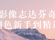 影像志达芬奇调色新手到精通