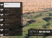 电视直播 v1.0.2.99 央视+地方+卫视