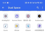 Dual Space v1.68.0.10，国外大佬开发的无限多开App