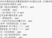 张琦-2025年5月最新超级流量营销课IP+AI搞定生意（12集视频+课件）