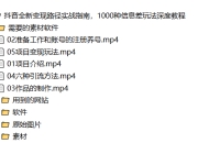 抖音全新变现路径实战指南,1000种信息差玩法深度教程