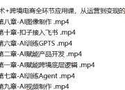 AI技术+跨境电商全环节应用课,从运营到变现的全指南