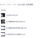 成人玩具-玩转情趣赛道指南课程