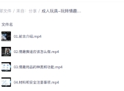 成人玩具-玩转情趣赛道指南课程