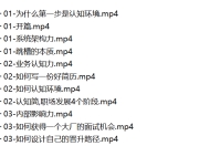 阿里P9的升职加薪课《向产品专家(P7)进阶》第7期 33节视频