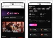 豌豆Pro，免费影视导航站，整合几十个资源站点！