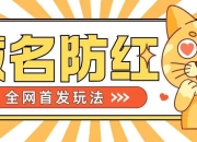 0基础搭建域名防红告别被封风险，学会可对外接单，一单收200+【揭秘】