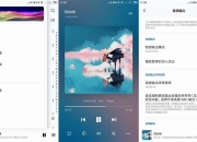 椒盐音乐 v10.6.0 改名Salt Player 纯净无广告的本地音乐播放器软件，支持多种音频格式