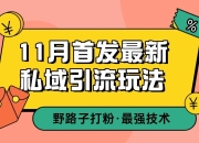 11月首发最新私域引流玩法，自动克隆爆款一键改写截流自热一体化 日引300+精准粉