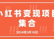 资源百科：小红书变现项目集合2024年5月16日