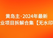 资源百科：黄岛主·2024年最新副业项目拆解合集【无水印】