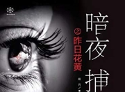 《暗夜捕手之昨日花黄》资深女法医耗时8年讲述诡案背后的高智商故事[epub]