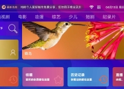 野火聚合TV，魔改程度很高的Box内置接口版本