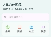 人体穴位图解 v3.1.8 经络穴位图文解析+经络对症查询+穴位按摩教程+人体穴位图示