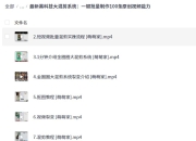 2025最新出品黑科技工具箱：最新黑科技大混剪系统：一键批量制作100条原创视频能力