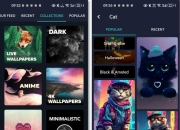 Walli 4k_2.12.83会员版，解锁Pro版的国外宝藏壁纸App