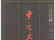 《中医大辞典》中医学术的综合性辞书 李经纬[pdf]