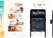 喜马拉雅 v9.3.51.3 精简版，解锁付费，无限畅听