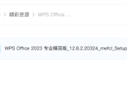 【迅雷/夸克】【PC端】WPS Office 2023 专业精简版 v12.8.2.20324