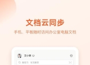 WPS Office 国际版，海量精美模版及高级功能，高级版