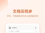 WPS Office 国际版，海量精美模版及高级功能，高级版
