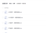 全套插件一键安装（AE,PS,PR...）