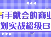 有手就会的商业计划实战超级BP