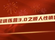 销冠训练营3.0之顺人性销售法