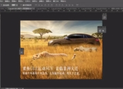 商业广告合成实战课程