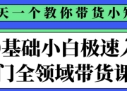 0基础小白极速入门全领域带货课