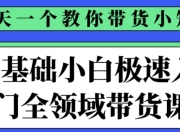 0基础小白极速入门全领域带货课