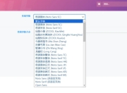WordPress字体更换插件 不托慢网站速度
