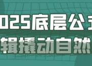 2025底层公式逻辑撬动自然流