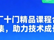 大厂十门精品课程合集 助力技术成长