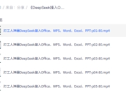 《DeepSeek接入Office、WPS、Word、Excel、PPT》打工人神器