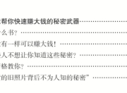 《赚大钱秘笈》：从零打造赚钱机器的暴利项目法则