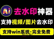 支持B站水印去除！一键视频/图片去水印工具，Ai水印移除工具，纯本地运行，支持win免费使用