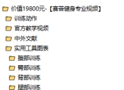 价值19800元赛普健身专业视频