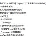 迪哥-2025AI大模型爆火agent（打造专属的LLM智能体）