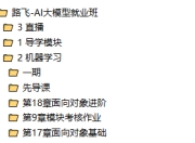 路飞-AI大模型就业班