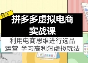 拼多多虚拟电商实战课：虚拟资源选品+运营，高利润虚拟玩法（更新14节）